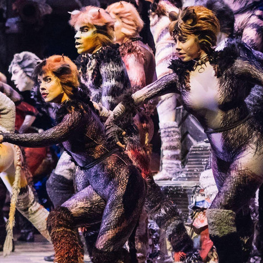 Cats on Broadway
