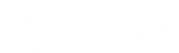 WIN Detergent logo
