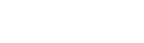 WIN Detergent logo